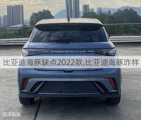 比亚迪海豚缺点2022款,比亚迪海豚咋样