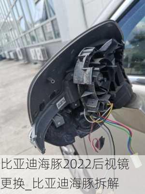 比亚迪海豚2022后视镜更换_比亚迪海豚拆解