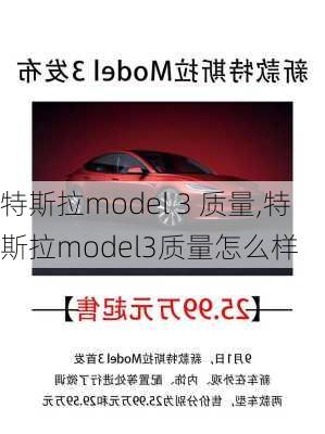 特斯拉model 3 质量,特斯拉model3质量怎么样