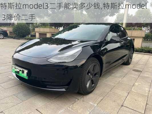 特斯拉model3二手能卖多少钱,特斯拉model 3降价二手