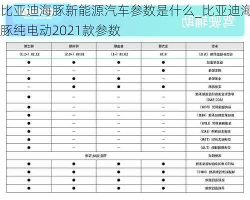 比亚迪海豚新能源汽车参数是什么_比亚迪海豚纯电动2021款参数