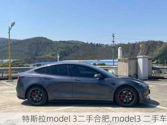 特斯拉model 3二手合肥,model3 二手车