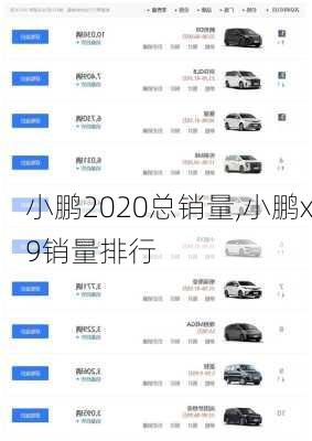 小鹏2020总销量,小鹏x9销量排行