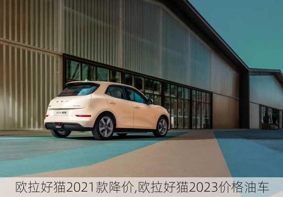 欧拉好猫2021款降价,欧拉好猫2023价格油车