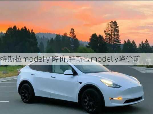 特斯拉model y 降价,特斯拉model y降价前