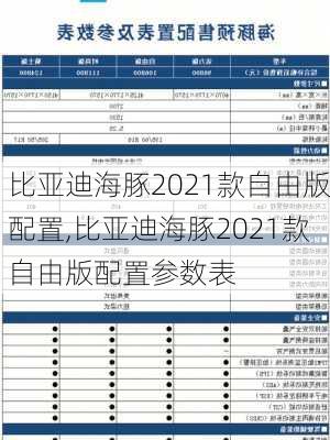 比亚迪海豚2021款自由版配置,比亚迪海豚2021款自由版配置参数表