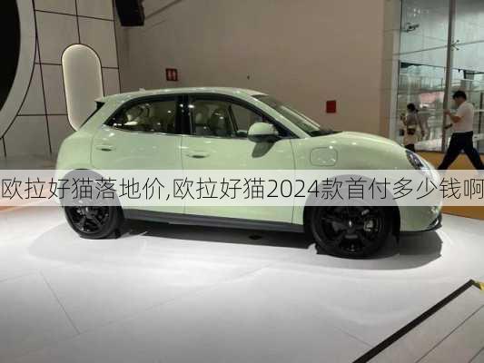 欧拉好猫落地价,欧拉好猫2024款首付多少钱啊