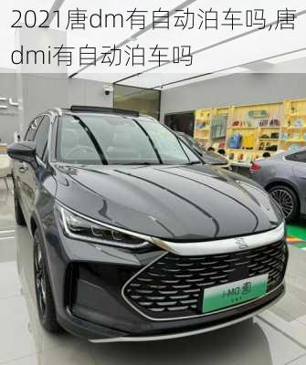 2021唐dm有自动泊车吗,唐dmi有自动泊车吗