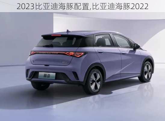 2023比亚迪海豚配置,比亚迪海豚2022