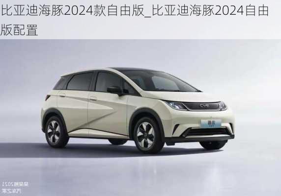 比亚迪海豚2024款自由版_比亚迪海豚2024自由版配置