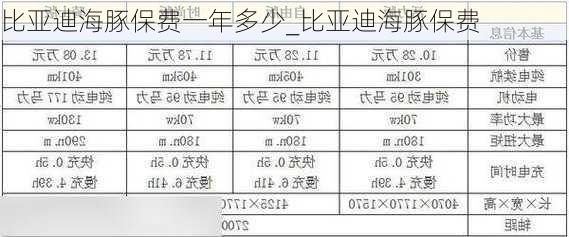 比亚迪海豚保费一年多少_比亚迪海豚保费