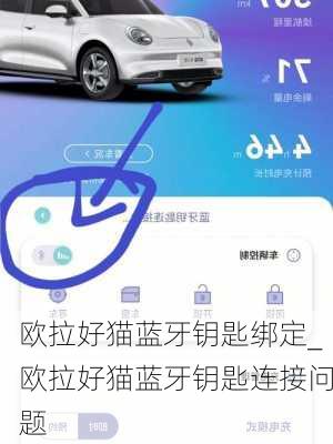 欧拉好猫蓝牙钥匙绑定_欧拉好猫蓝牙钥匙连接问题