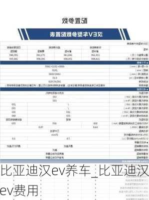 比亚迪汉ev养车_比亚迪汉ev费用