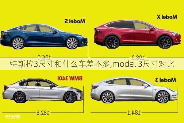 特斯拉3尺寸和什么车差不多,model 3尺寸对比