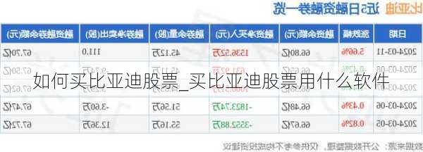 如何买比亚迪股票_买比亚迪股票用什么软件