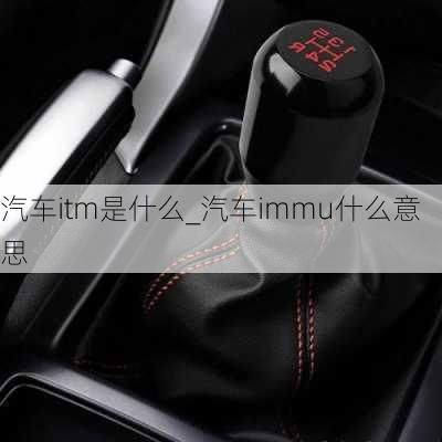 汽车itm是什么_汽车immu什么意思