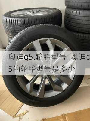 奥迪q5l轮胎型号_奥迪q5的轮胎型号是多少