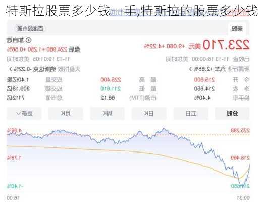 特斯拉股票多少钱一手,特斯拉的股票多少钱