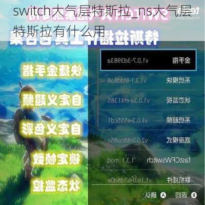 switch大气层特斯拉_ns大气层特斯拉有什么用