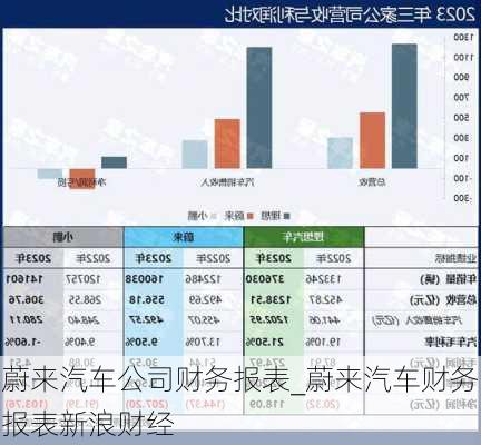 蔚来汽车公司财务报表_蔚来汽车财务报表新浪财经