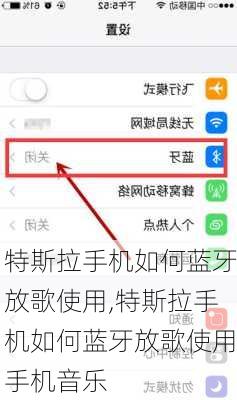 特斯拉手机如何蓝牙放歌使用,特斯拉手机如何蓝牙放歌使用手机音乐