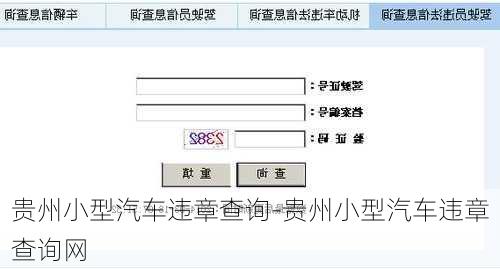 贵州小型汽车违章查询-贵州小型汽车违章查询网