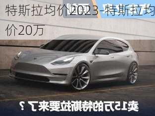 特斯拉均价2023-特斯拉均价20万