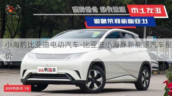 小海豹比亚迪电动汽车-比亚迪小海豚新能源汽车报价