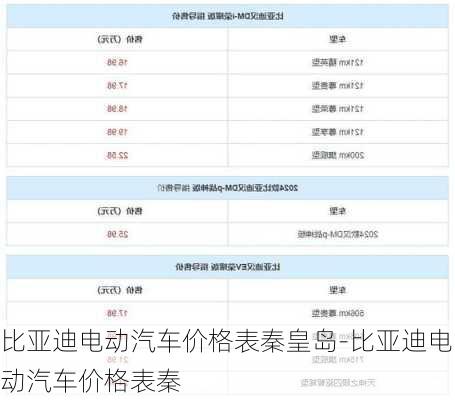 比亚迪电动汽车价格表秦皇岛-比亚迪电动汽车价格表秦