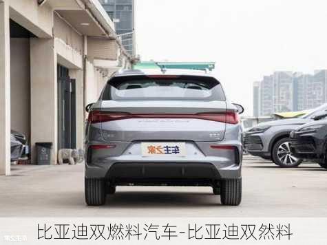 比亚迪双燃料汽车-比亚迪双然料