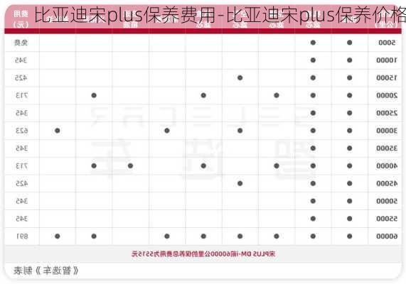 比亚迪宋plus保养费用-比亚迪宋plus保养价格