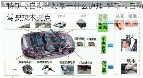 特斯拉自动驾驶基于什么原理-特斯拉自动驾驶技术亮点