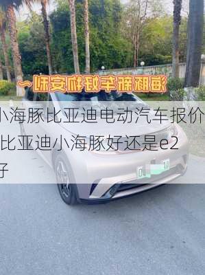 小海豚比亚迪电动汽车报价-比亚迪小海豚好还是e2好