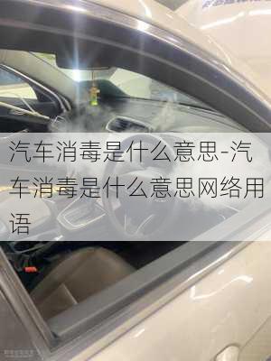 汽车消毒是什么意思-汽车消毒是什么意思网络用语