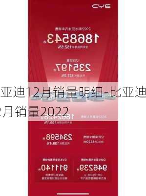 比亚迪12月销量明细-比亚迪12月销量2022