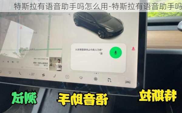 特斯拉有语音助手吗怎么用-特斯拉有语音助手吗