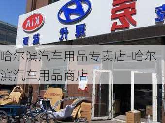 哈尔滨汽车用品专卖店-哈尔滨汽车用品商店