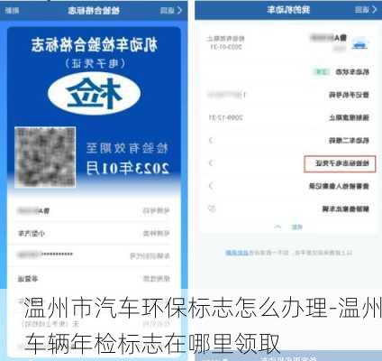 温州市汽车环保标志怎么办理-温州车辆年检标志在哪里领取