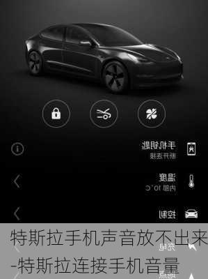 特斯拉手机声音放不出来-特斯拉连接手机音量