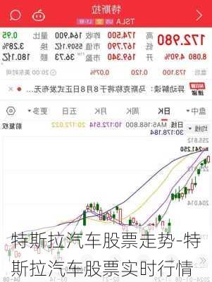 特斯拉汽车股票走势-特斯拉汽车股票实时行情