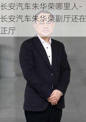 长安汽车朱华荣哪里人-长安汽车朱华荣副厅还在正厅