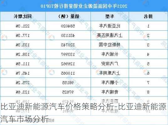 比亚迪新能源汽车价格策略分析-比亚迪新能源汽车市场分析