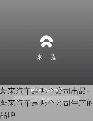 蔚来汽车是哪个公司出品-蔚来汽车是哪个公司生产的品牌