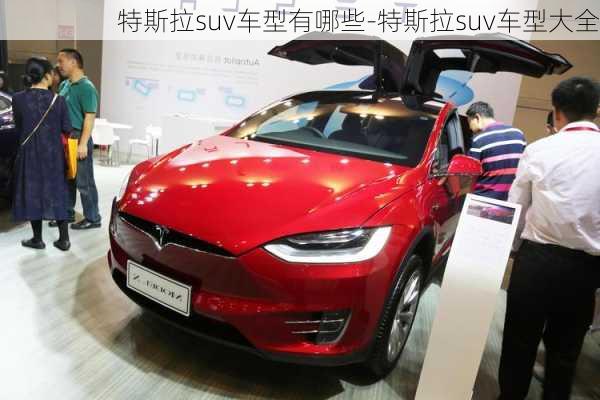 特斯拉suv车型有哪些-特斯拉suv车型大全