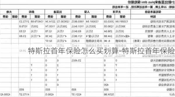 特斯拉首年保险怎么买划算-特斯拉首年保险