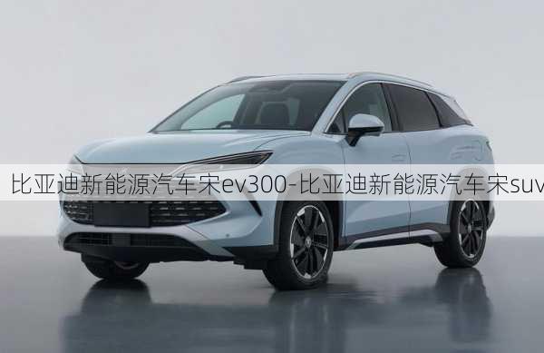 比亚迪新能源汽车宋ev300-比亚迪新能源汽车宋suv