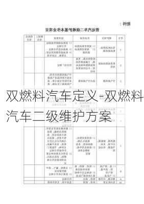 双燃料汽车定义-双燃料汽车二级维护方案