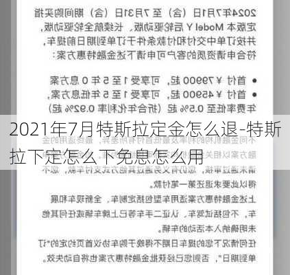 2021年7月特斯拉定金怎么退-特斯拉下定怎么下免息怎么用