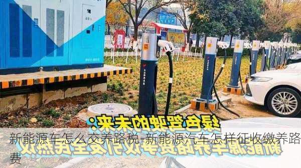 新能源车怎么交养路税-新能源汽车怎样征收缴养路费