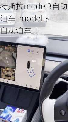 特斯拉model3自助泊车-model 3 自动泊车